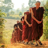 緬甸朝聖供萬僧暨短期出家修道會